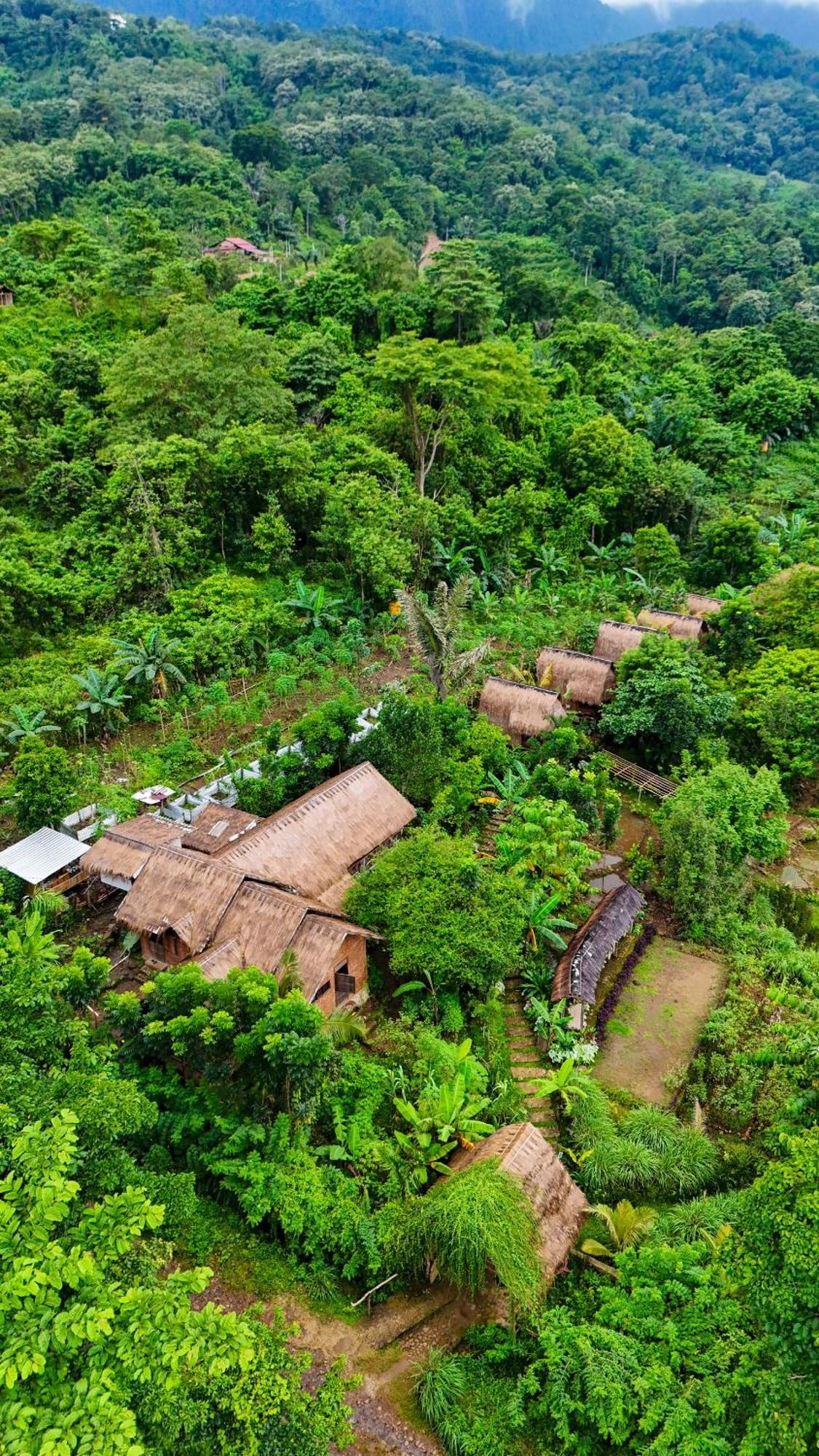 Sten Lodge Лабуан-Бахо Экстерьер фото